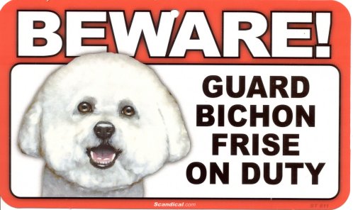 BewareBichons500Wide.jpg